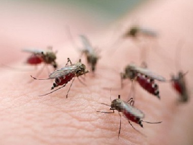 为什么有些人特别容易招蚊子咬