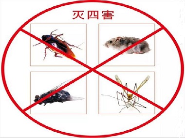 云东海除四害公司提醒您害虫有哪些危害？有必要定期虫害防治吗？