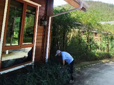 佛山杀虫灭鼠中心外环境安装专业灭鼠器的优势