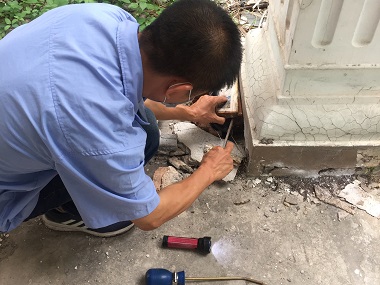 顺德验收白蚁中心白蚁危害为什么会反复出现
