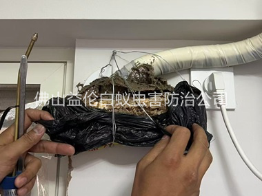 顺德房屋白蚁诱杀工程
