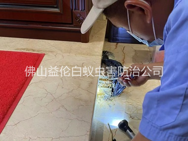 高明厂区布置鼠笼防控监测工程