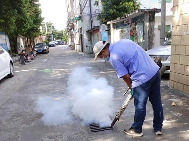 禅城除四害中心登革热高发！预防“两热”关键在灭蚊